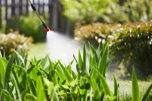 24/7 Emergency Wasp Removal experts in Braddock, PA