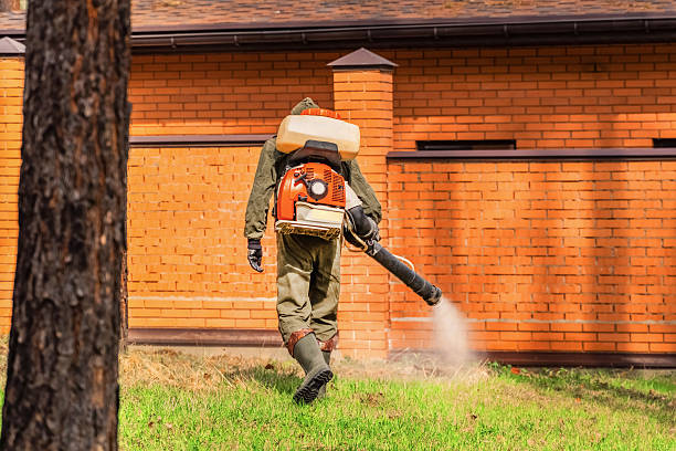 Top rated local Wasp Removal specialists in Braddock, PA